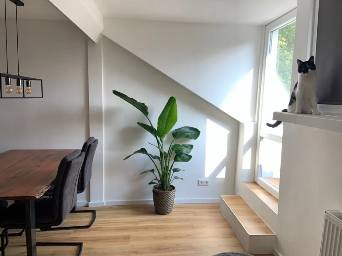 Nachher – Innenraum Renovierung