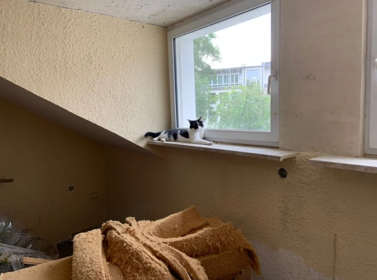 Vorher – Innenraum Renovierung